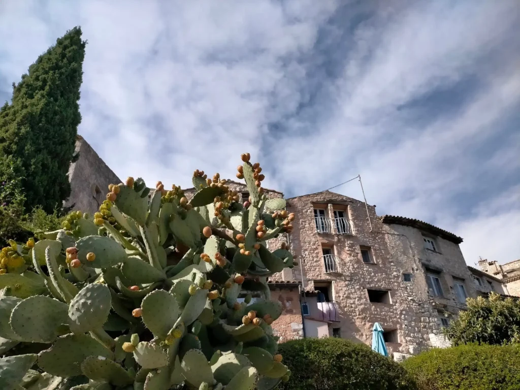 Vue panoramique ensoleillée du village médiéval perché de Tourrettes-sur-Loup, niché sur un éperon rocheux dans l'arrière-pays provençal, près de Vence. Les maisons en pierre de taille s'empilent en arc de cercle au sommet, entourées d'une végétation méditerranéenne luxuriante. Un clocher émerge du centre du village. Le ciel est bleu clair. @jeanpaul