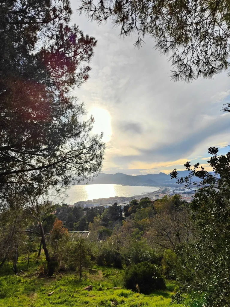  Le parc forestier de la Croix-des-Gardes est un espace naturel sensible classé de 80 hectares, prisé pour ses sentiers de randonnée et ses vues panoramiques sur la baie de Cannes et les sommets du Mercantour. 