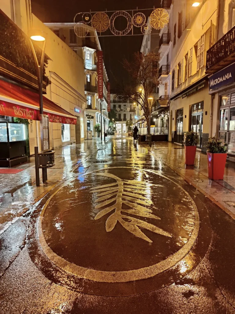 Disponibles 24h/24 et 7j/7, nos services de conciergerie veillent sur vos soirées les plus exclusives sur la Côte d'Azur.
