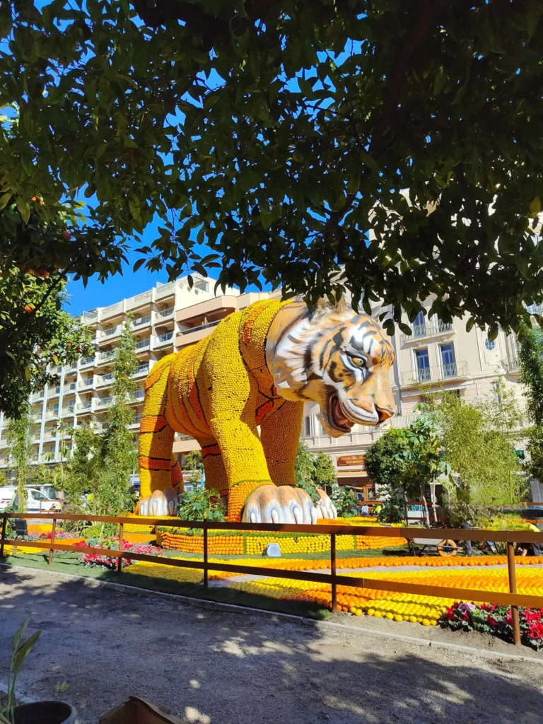 Impressionnante sculpture de tigre rugissant, confectionnée avec des milliers de citrons jaunes et d'oranges, présentée aux Jardins Biovès de Menton.