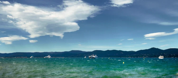 Une vue sur les eaux calmes et azur de la mer de Saint-Tropez près de la plage des Salins. Le soleil fait scintiller la surface de la mer Méditerranée, bordée au loin par un littoral sauvage composé de collines verdoyantes, de pins parasols et de maquis provençal. Le ciel est entièrement bleu et dégagé, offrant une atmosphère de farniente typique de la Riviera.