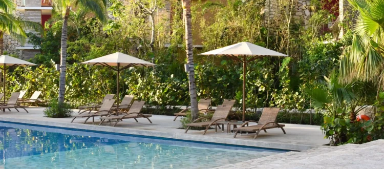 Piscine extérieure et transats ombragés sous les palmiers comme dans un hotel saint tropez luxe d'exception.
