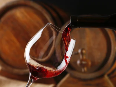Château de Bellet : des vins d'exception en AOC Bellet