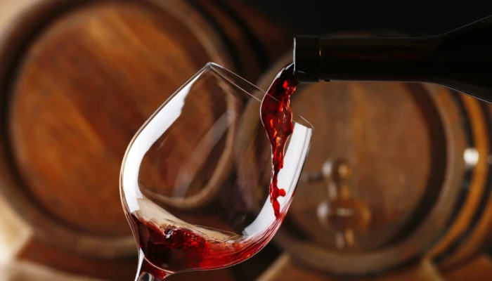 Château de Bellet : des vins d'exception en AOC Bellet