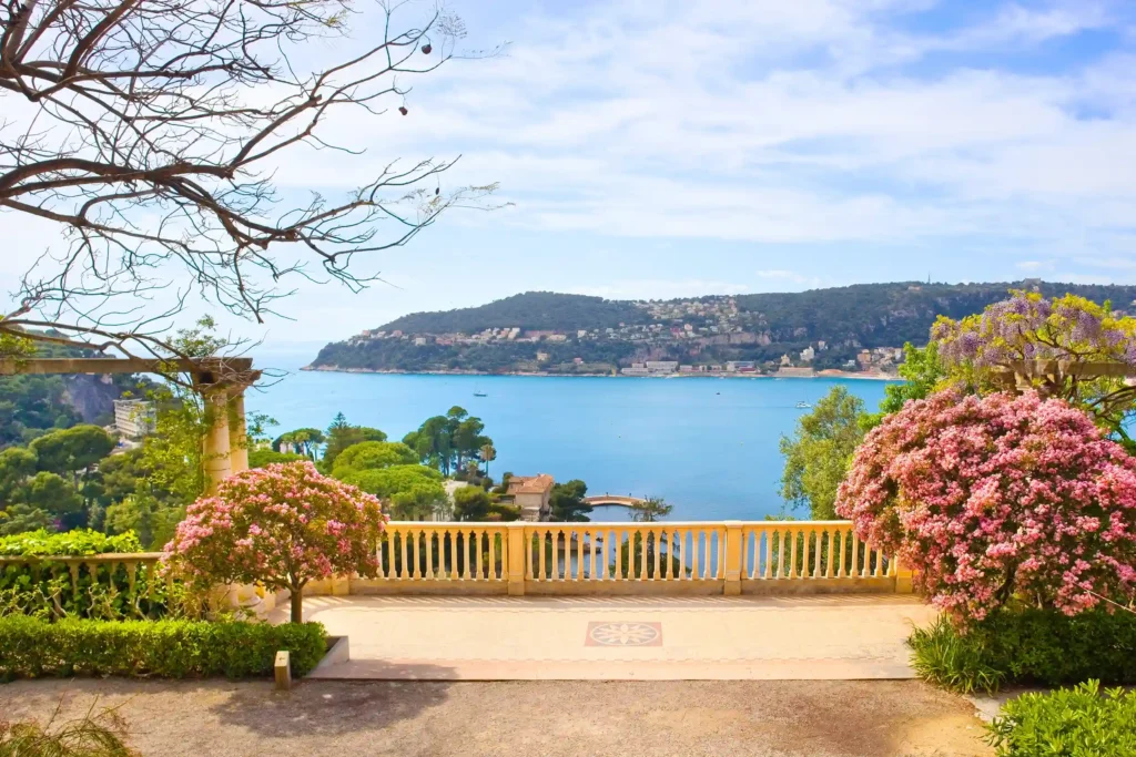 Panorama spectaculaire sur la mer Méditerranée depuis une terrasse surélevée lors d'une visite de la Villa Ephrussi de Rothschild. Au premier plan, une terrasse pavée est bordée d'une balustrade classique en pierre ocre, encadrée par deux arbres aux fleurs roses éclatantes et une pergola en pierre. En contrebas, des arbres verdoyants et des villas côtières parsèment le rivage. Au second plan, les eaux bleues calmes de la baie s'étendent jusqu'à la presqu'île montagneuse verdoyante recouverte de habitations. Le ciel lumineux est parsemé de légers nuages blancs.