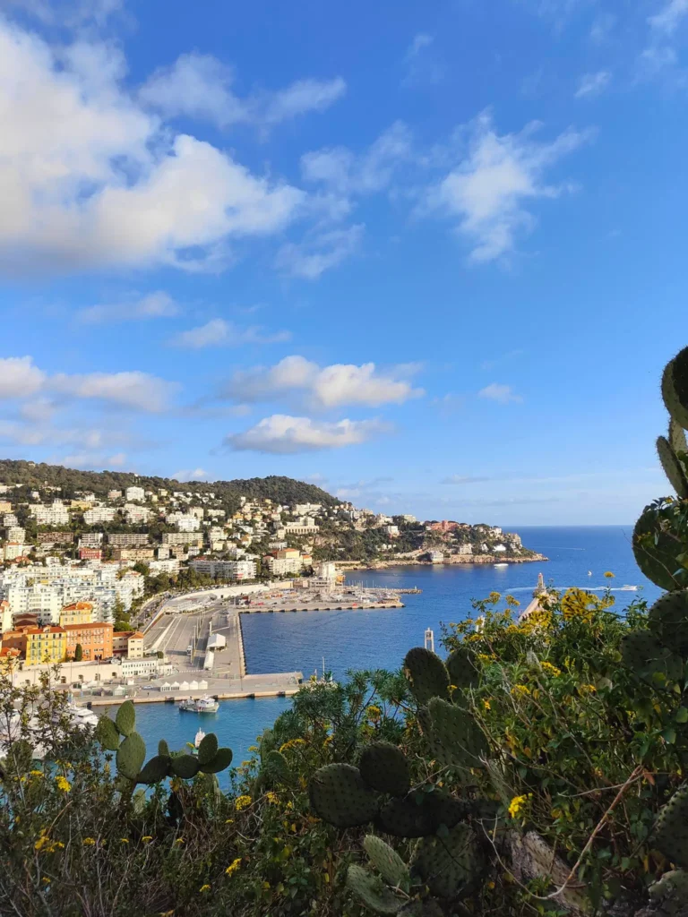 Vue panoramique plongeante depuis la colline du Château de Nice sur le Port Lympia et les collines environnantes parsemées d'habitations blanches. Au premier plan, une végétation méditerranéenne dense composée de cactus et de figuiers de Barbarie encadre le bas de l'image. L'eau d'un bleu profond s'étend vers la mer ouverte à droite sous un grand ciel azur parsemé de quelques nuages blancs cotonneux. @jeanpaul 2025