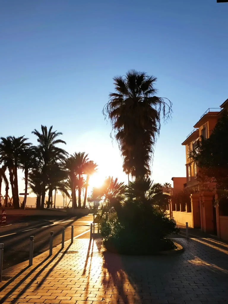 Le Boulevard du Midi révèle des tons chauds ensoleillés au crépuscule. @jeanpaul 2024