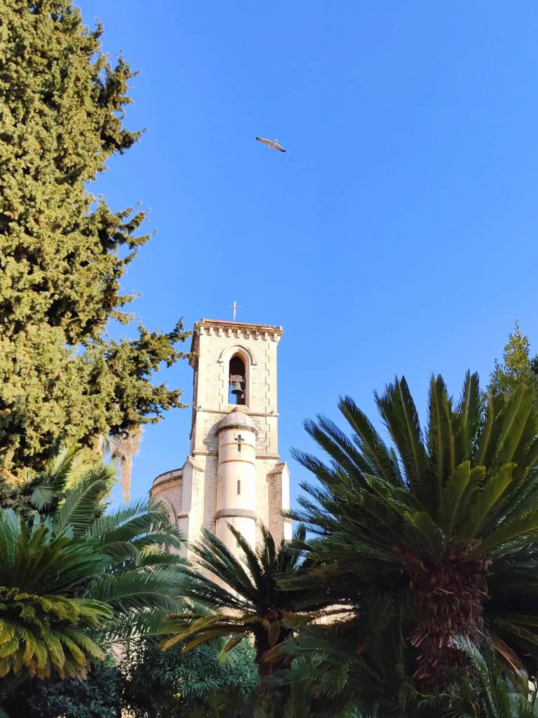 Vue en contre-plongée du clocher de l'église Sainte-Philomène au Cannet, en pierre claire, encadré par des palmiers luxuriants et des cyprès sous un ciel bleu pur. Un goéland vole en haut de l'image.